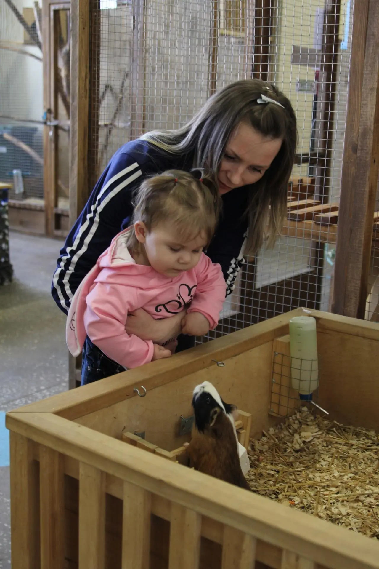 Посещение Страны Енотии