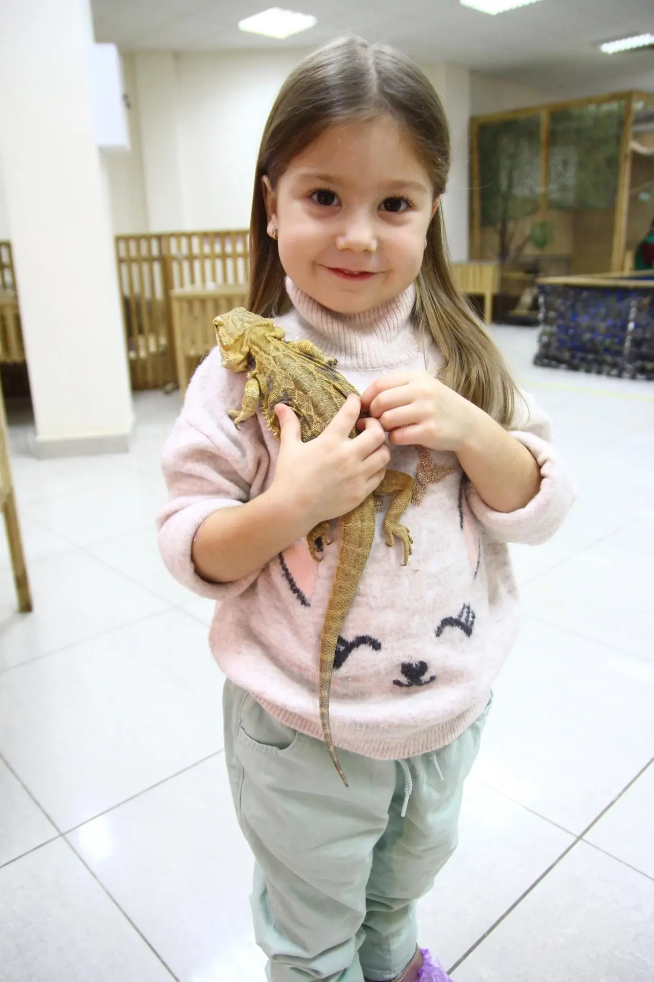 Посещение Страны Енотии