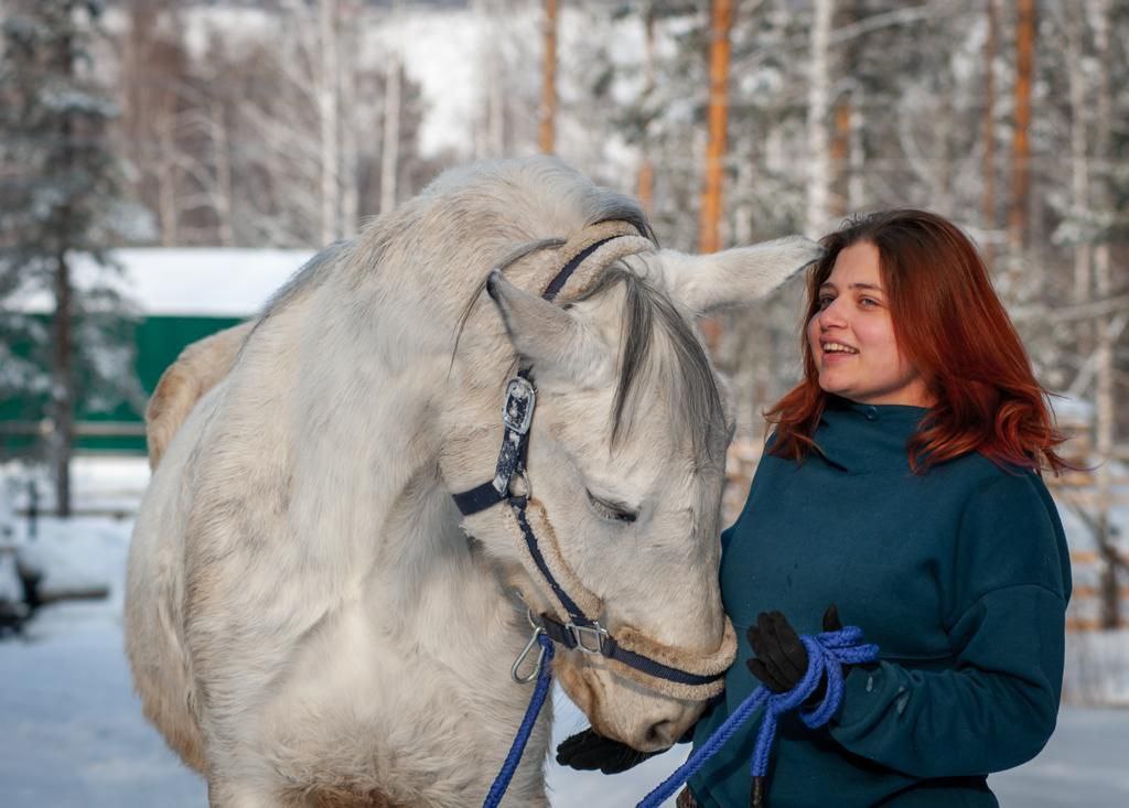 Урок верховой езды