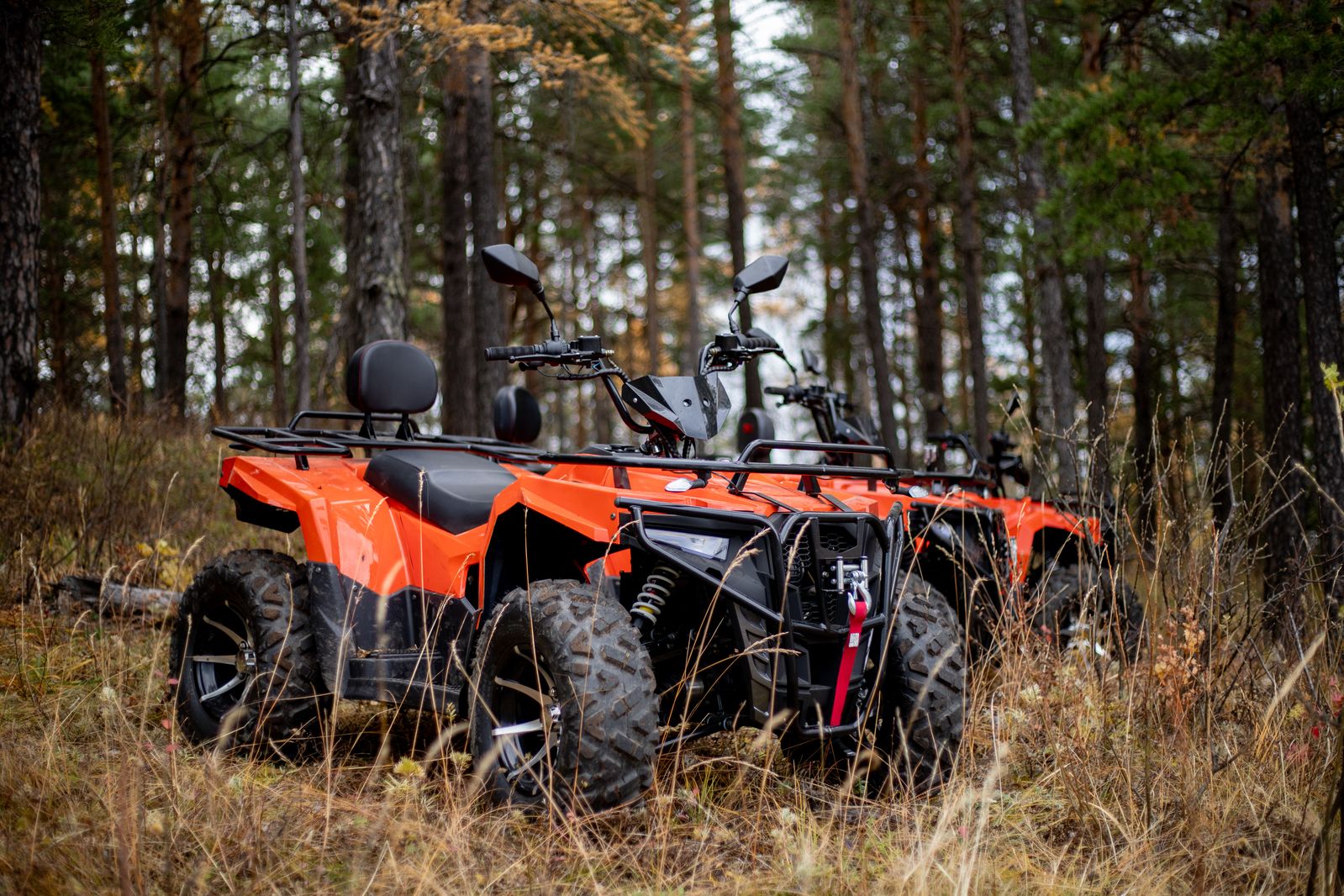 Катание на квадроциклах по скале "Чертов палец"