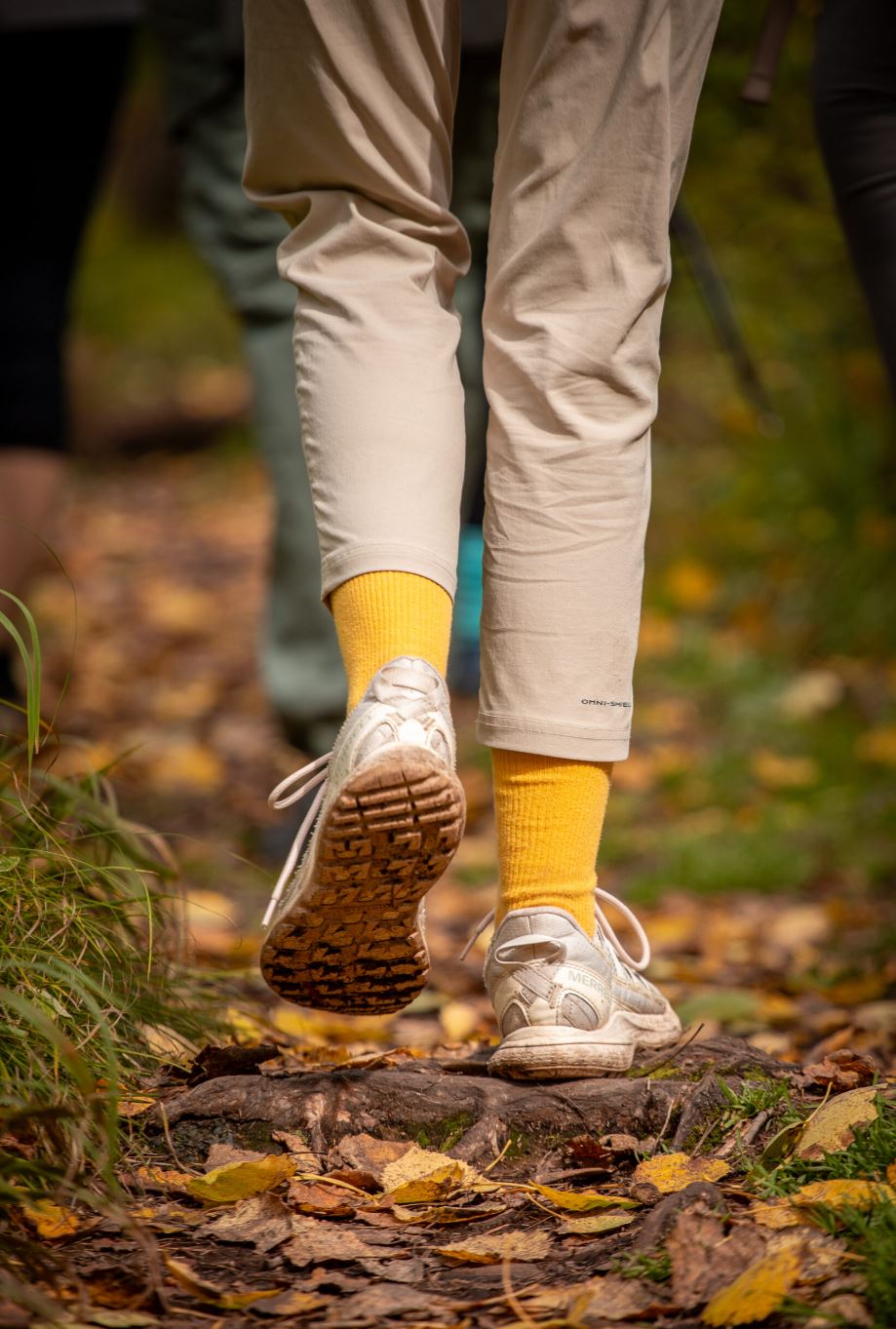 Фотопутешествие на Красноярские столбы