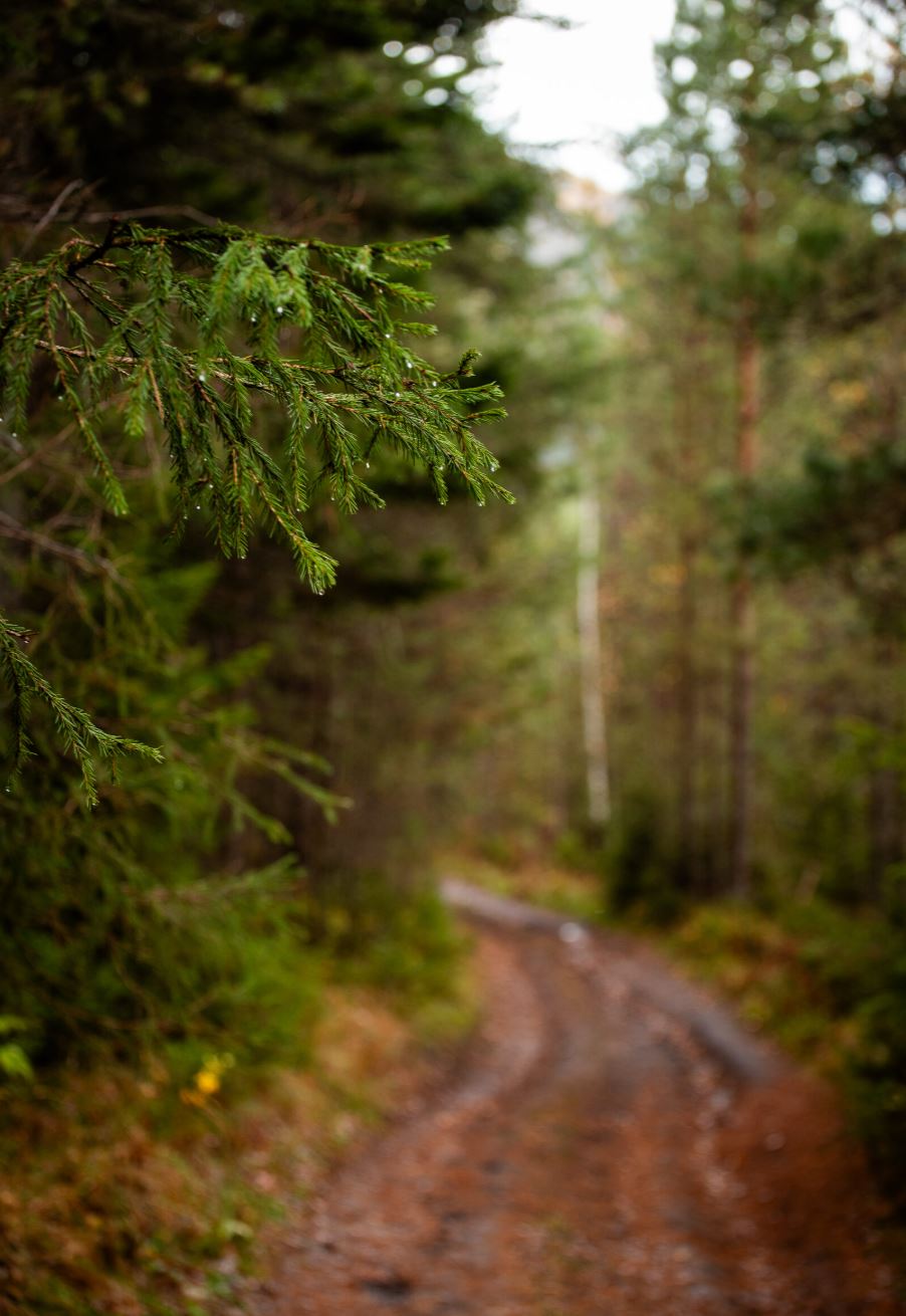 Фотопутешествие на Урманскую петлю