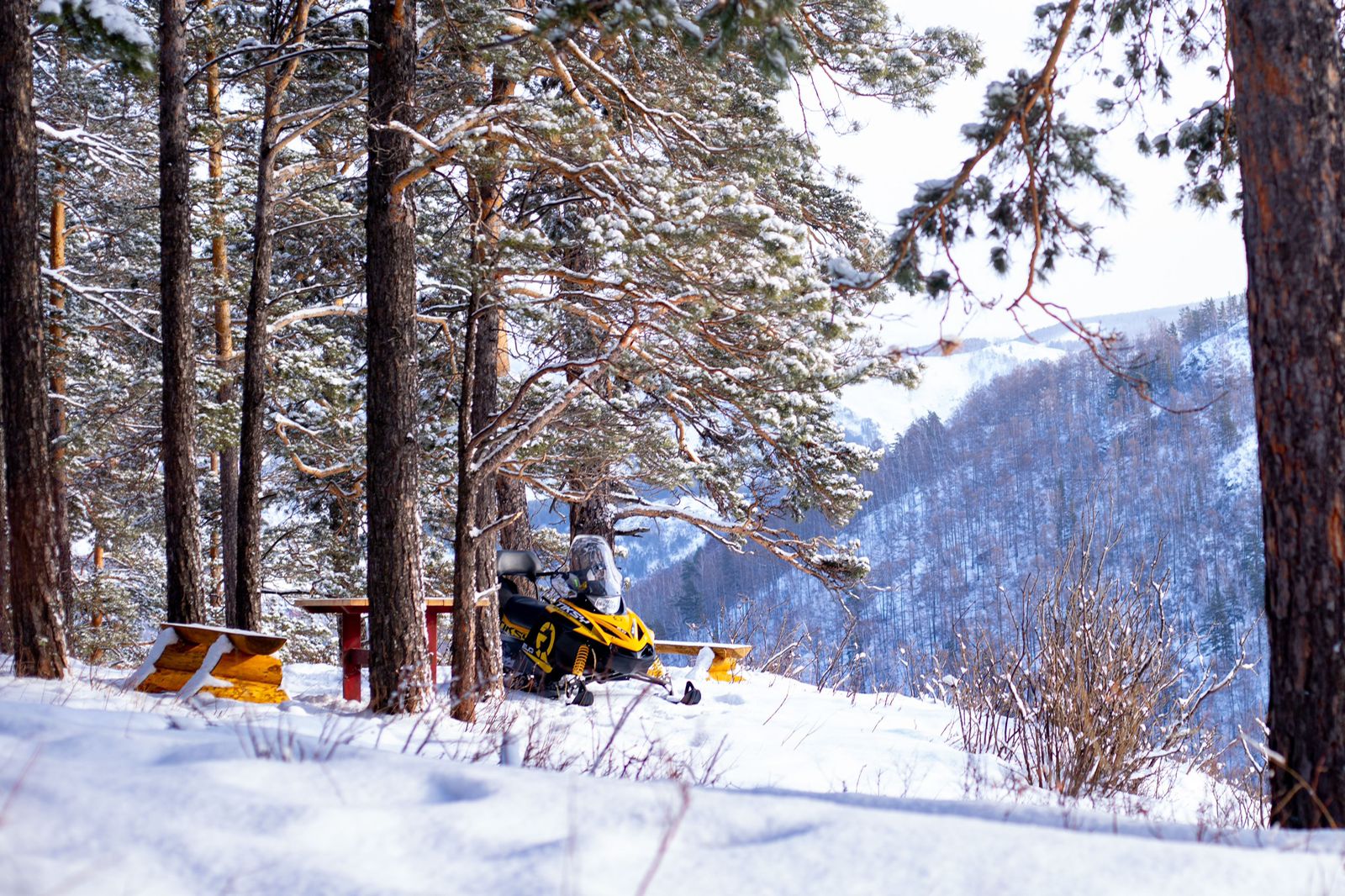 Прогулка на снегоходах для компании