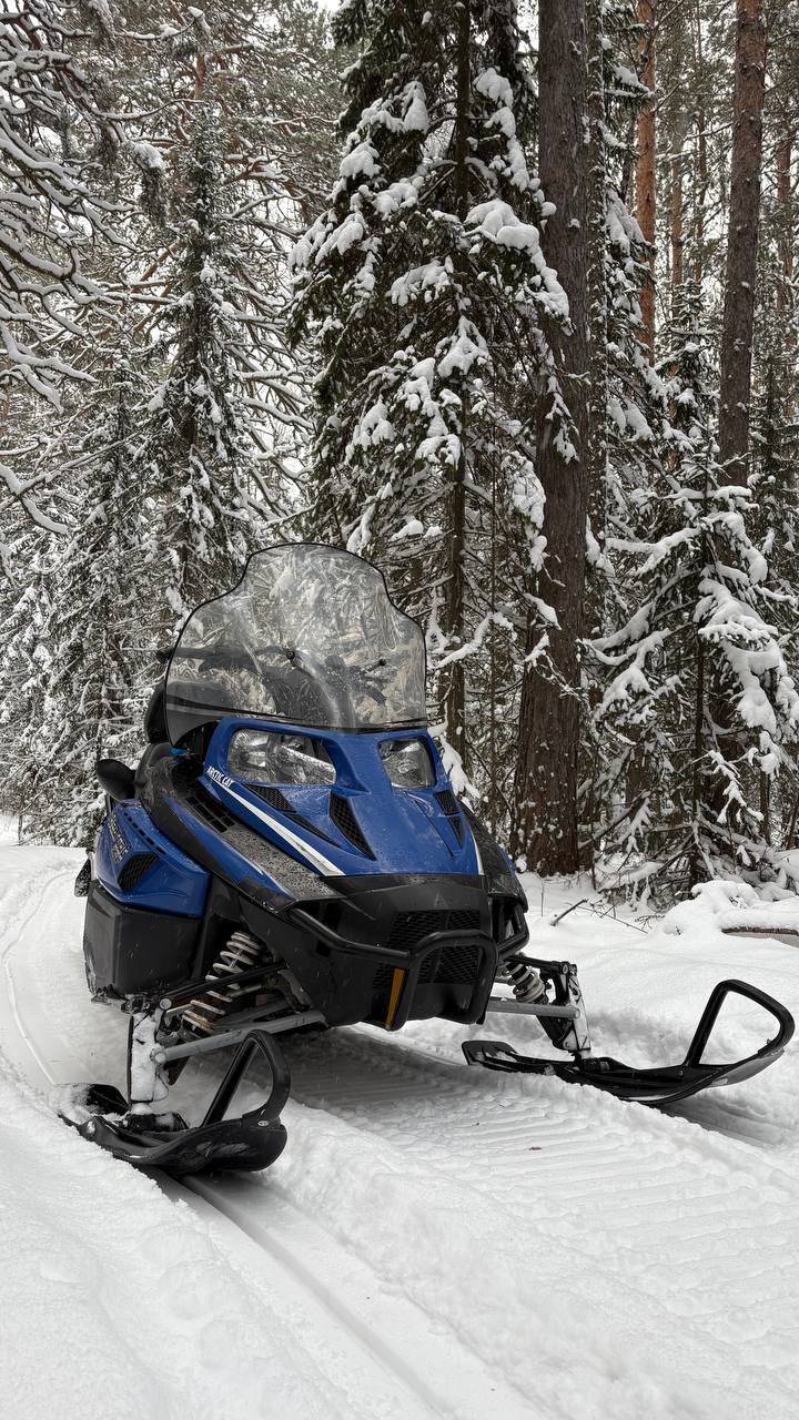 Тур на снегоходах по живописным просторам